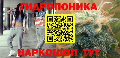 spice Кимры